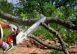 Best Stump Grinding and Removal  in Tyro, NC